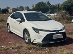 Toyota Levin 2021 petorl