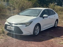 Toyota Levin 2021 petorl