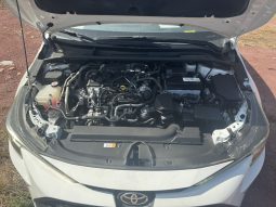 Toyota Levin 2021 petorl