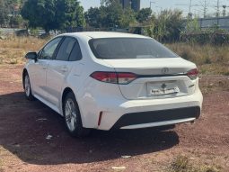 Toyota Levin 2021 petorl