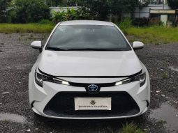 Toyota levin 2020 hybrid