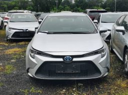 Toyota levin 2020 hybrid