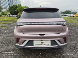 
										BYD DOLPHIN 2022 full									