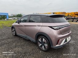 
										BYD DOLPHIN 2022 full									