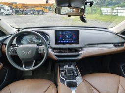 
										HongQi E-QM5 2021 full									