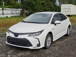 2019 Toyota Corolla