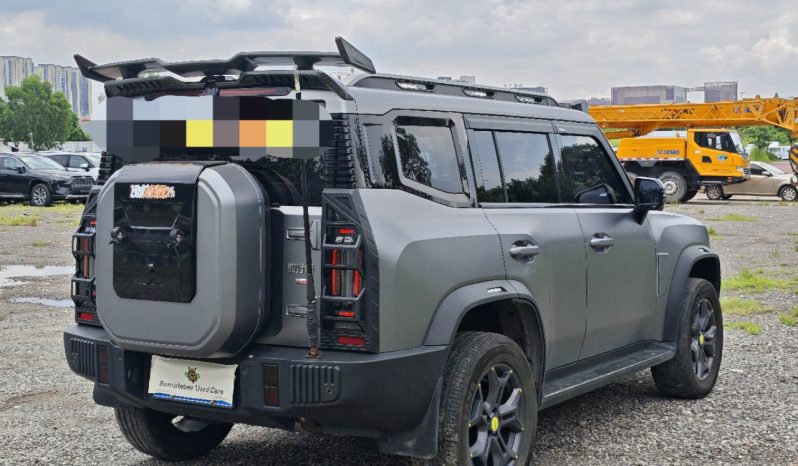 
								2024 traveler 4wd full									